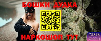 гашик Боровичи