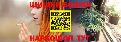 гашик Боровичи