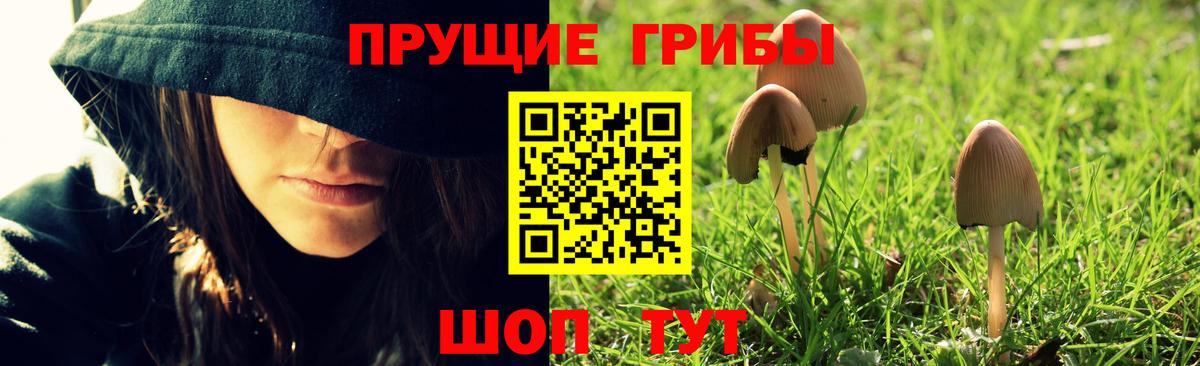 Галлюциногенные грибы GOLDEN TEACHER  Вход с VPN  где найти наркотики  Большой Камень 